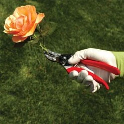 Felco 100 Special Application - Cut & Hold Pruning Shears 9 Felco 100 Special Application - Cut & Hold Pruning Shears -Garden Store 100fel 4