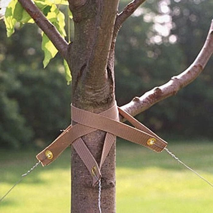 The Original Treestrap, 18-Inch Length, Pack Of 100 2 The Original Treestrap, 18-Inch Length, Pack Of 100 - Image 2