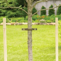 Treestrap VStraps -Garden Store 1018v 2