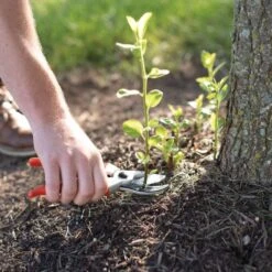 Leonard Deluxe Soil Knife, Pruner, Saw, And Sheath Combo 21 Leonard Deluxe Soil Knife, Pruner, Saw, And Sheath Combo -Garden Store 1286 8 1 1