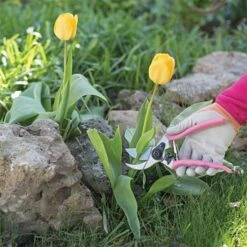 Pink Leonard Traditional Bypass Pruners, 1-Inch Cutting Capacity -Garden Store 1286p 5