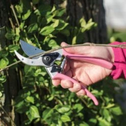 Pink Leonard Traditional Bypass Pruner With Case 6 Pink Leonard Traditional Bypass Pruner With Case -Garden Store 1286pcom 2