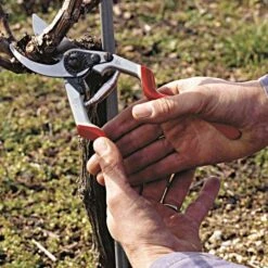 Felco 13 Multipurpose Pruning Shears - Use With 1 Or 2 Hands 10 Felco 13 Multipurpose Pruning Shears - Use With 1 Or 2 Hands -Garden Store 13fel in use