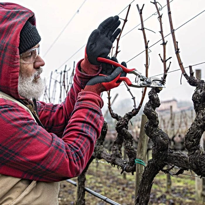 Felco 13 Multipurpose Pruning Shears - Use With 1 Or 2 Hands 6 Felco 13 Multipurpose Pruning Shears - Use With 1 Or 2 Hands - Image 6