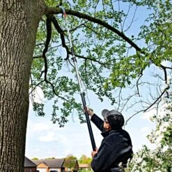 Leonard 4-Section Aluminum Telescopic Pole Saw With 16-Inch Blade 7 Leonard 4-Section Aluminum Telescopic Pole Saw With 16-Inch Blade -Garden Store 18tps live vert7