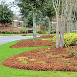 CleanStraw Premium Pine Straw Pallet Of 40 Bags 5 CleanStraw Premium Pine Straw Pallet Of 40 Bags -Garden Store 2001 40 live resort2