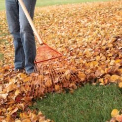 Leonard 22-Tine Forestry Rake -Garden Store 228f 4