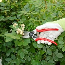 Felco 2 Classic Model - One-Hand Pruning Shear -Garden Store 2fel 7