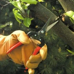 ARS Needle Nose Hand Shears, 7.5-inch Overall Length -Garden Store 300l 5