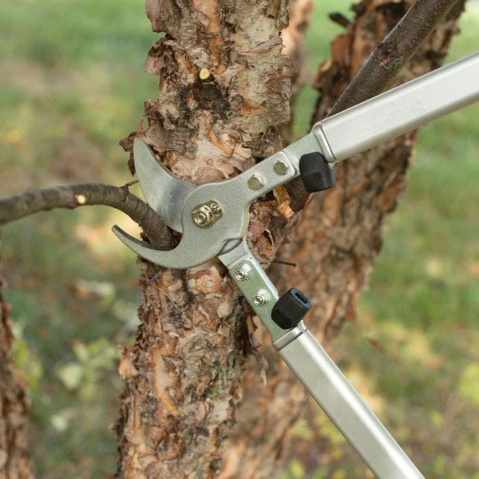 Leonard 20in Professional Lifetime Lopper 1.5in Capacity 5 Leonard 20in Professional Lifetime Lopper 1.5in Capacity - Image 5