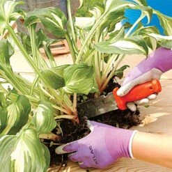 Leonard Deluxe Soil Knife, Pruner, Saw, And Sheath Combo 24 Leonard Deluxe Soil Knife, Pruner, Saw, And Sheath Combo -Garden Store 4752 4 1