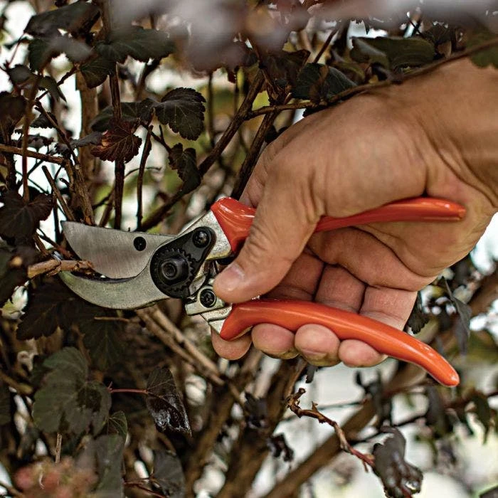 Leonard Contractor-Grade Bypass Pruners 3 Leonard Contractor-Grade Bypass Pruners - Image 3