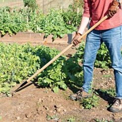 Leonard Cape Cod Weeder With 60" Wood Handle -Garden Store acw60 2