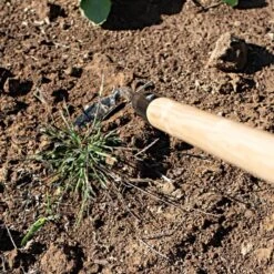 Leonard Cape Cod Weeder With 60" Wood Handle -Garden Store acw60 3