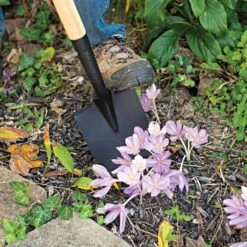 Leonard Floral Shovel Straight Handle -Garden Store afs210 4