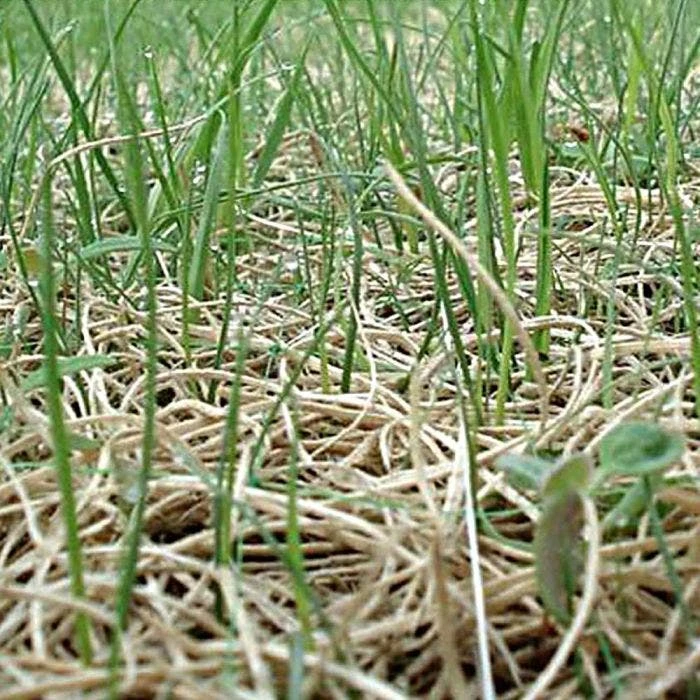 Curlex I Blanket Single Net Up To 2 1 Slope Green 4 Curlex I Blanket Single Net Up To 2 1 Slope Green - Image 4