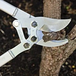 Leonard Compound Action Bypass Loppers, 2-1/8-Inch Cutting Capacity -Garden Store c850 2