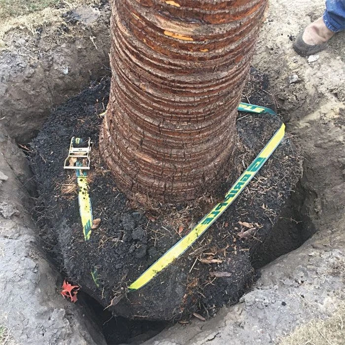 Gripple® Premium Anchor 3 Root Ball Kit 2 Gripple® Premium Anchor 3 Root Ball Kit - Image 2