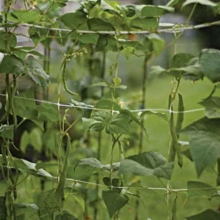 Hortonova Trellis Netting, 4 Feet X 100 Feet 32 Hortonova Trellis Netting, 4 Feet X 100 Feet -Garden Store htn4100 12