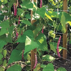 Hortonova Trellis Netting, 4 Feet X 100 Feet 36 Hortonova Trellis Netting, 4 Feet X 100 Feet -Garden Store htn4100 16