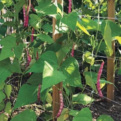 Hortonova Trellis Netting, 4 Feet X 100 Feet 26 Hortonova Trellis Netting, 4 Feet X 100 Feet -Garden Store htn4100 6