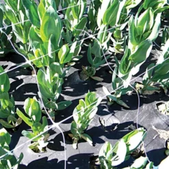 Hortonova Trellis Netting, 4 Feet X 100 Feet 27 Hortonova Trellis Netting, 4 Feet X 100 Feet -Garden Store htn4100 7