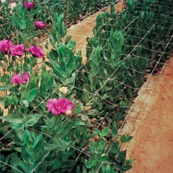 Hortonova Trellis Netting, 4 Feet X 328 Feet -Garden Store htn4328 15