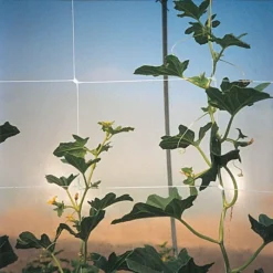 Hortonova Trellis Netting, 4 Feet X 328 Feet -Garden Store htn4328 4