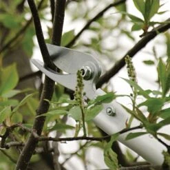 ARS LongReach Pruner 6ft Fixed Length Super Light Razor Edge -Garden Store lrp6 3 1