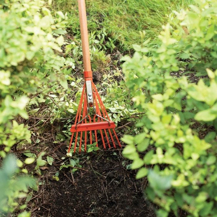Leonard Narrow Shrub Rake, 54in Handle 4 Leonard Narrow Shrub Rake, 54in Handle - Image 4