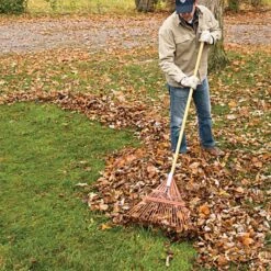 Steel 24 Tine Spring Rake By A.M. Leonard, Lifetime Warranty -Garden Store msr 224u 3