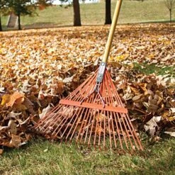 Steel 24 Tine Spring Rake By A.M. Leonard, Lifetime Warranty -Garden Store msr 224u 4