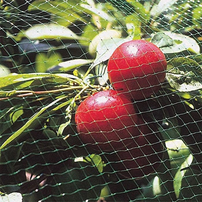 Professional Grade Bird Control Netting, 13ft X 820ft, Green 2 Professional Grade Bird Control Netting, 13ft X 820ft, Green - Image 2