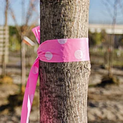 Glo-Pink With White Polka Dots Tagging Tape, Box Of 12 Rolls -Garden Store pd p 2wb 1 1