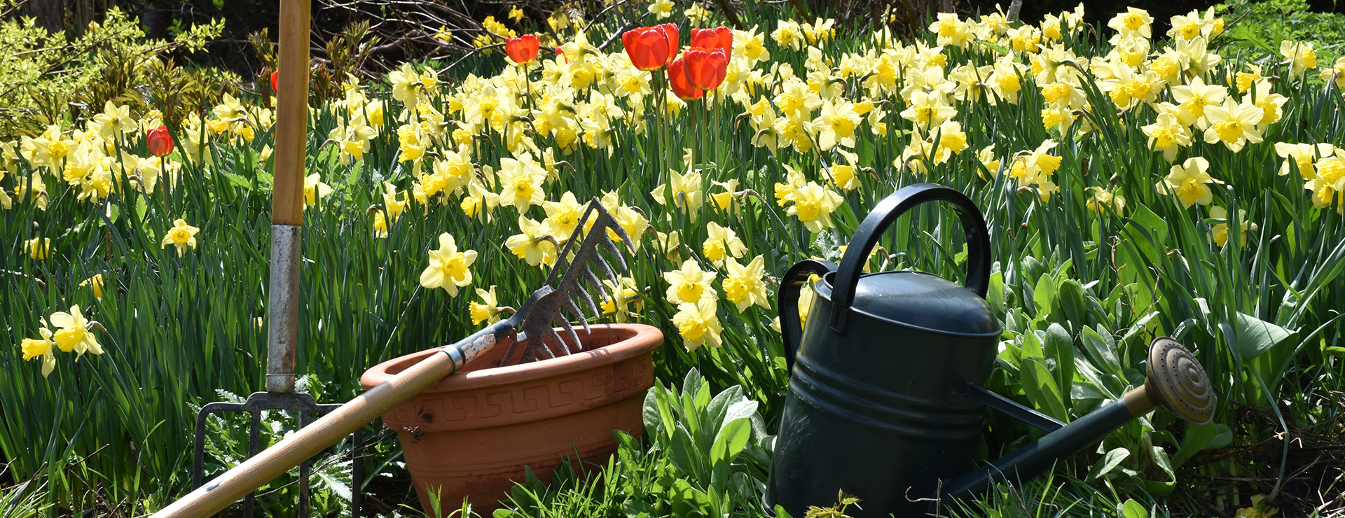 Garden Store -Garden Store photo 1654002386579 2a2e92cb3e23