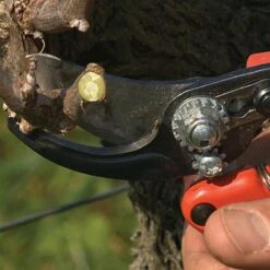 Bahco; Professional Ergonomic Pruners, 1.25-inch Cutting Capacity -Garden Store pxl3 5