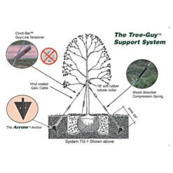 Tree-Guy Arrow Anchor W/ 12' Tree Tie Webbing -Garden Store tg4b 4
