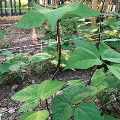 Hortonova Trellis Netting, 5 Feet X 328 Feet -Garden Store tn5328 17