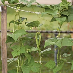 Hortonova Trellis Netting, 6-1/2 Feet X 100 Feet -Garden Store tn6100 14