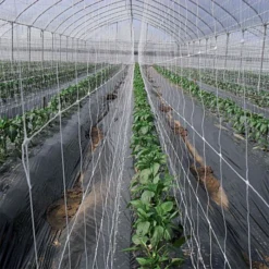 Hortonova Trellis Netting, 6-1/2 Feet X 100 Feet -Garden Store tn6100 4