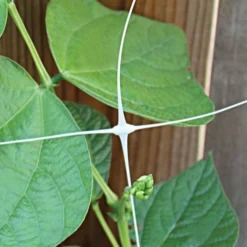 Hortonova Trellis Netting, 6-1/2 Feet X 50 Feet -Garden Store tn650 9