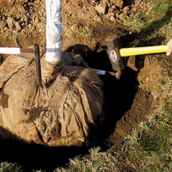 Tree Anchor Staple 4"-6" Caliper 42 6 Tree Anchor Staple 4"-6" Caliper 42 -Garden Store tst42 2