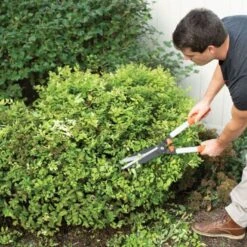 Leonard 9in Straight Blade Hedge Shears -Garden Store vp 912xx 4