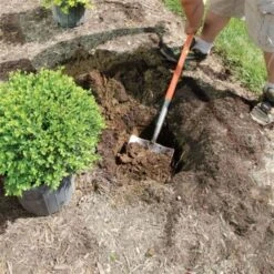 Leonard Caprock Irrigation Shovels -Garden Store vp capp 6