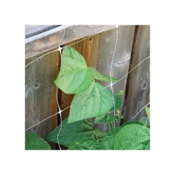 Hortonova Trellis Netting 13 Hortonova Trellis Netting -Garden Store vp tnx 2
