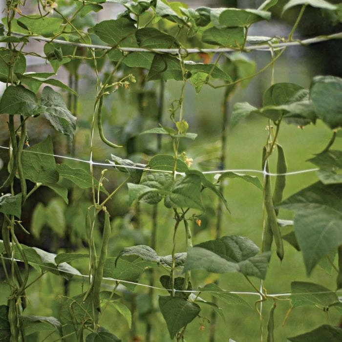Hortonova Trellis Netting 7 Hortonova Trellis Netting - Image 7