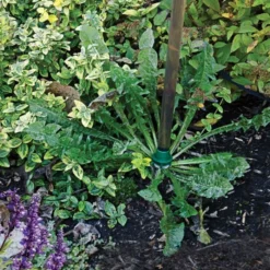 Weed Wand Magic Applicator -Garden Store wwa 2